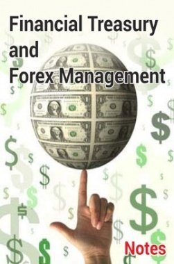 Financial Treasury and Forex Management (Company Secretary)
